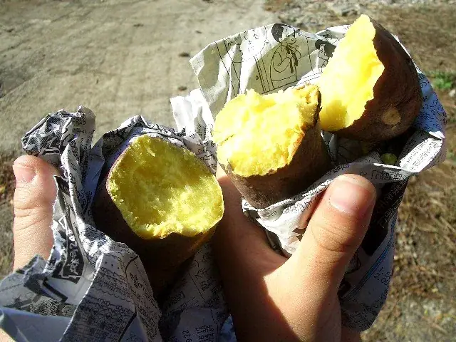 A roasted sweet potato split open to show its yellow flesh